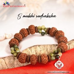 Shop 8 Mukhi Rudraksha Online At the best Price