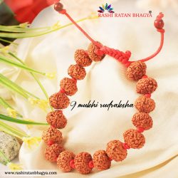 Shop 9 Mukhi Rudraksha Online At the best Price