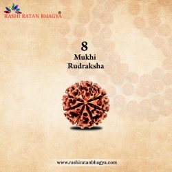 8 Mukhi Rudraksha Online Best Price in India.