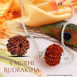 Buy Rudralsha Solver Pendent form Rashi Ratan Bhagya