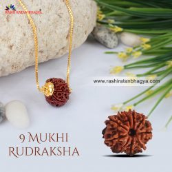 Buy 9 Mukhi Rudraksha Online at Rashi Ratan Bagya