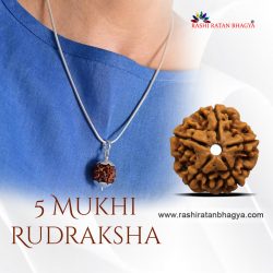 Shop 5 Mukhi Rudraksha Online At the best Price