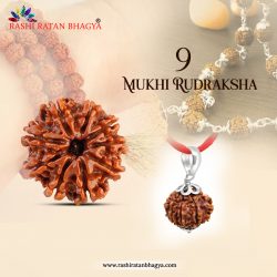 Buy 9 Mukhi Rudraksha Online at Rashi Ratan Bagya