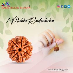 7 Mukhi Rudraksha Online Best Price in India.