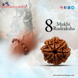 Buy 8 Mukhi Rudraksha From Rashi Ratan Bhagya At Genuine