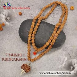 Buy 7 Mukhi Rudraksha From Rashi Ratan Bhagya