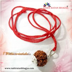 8 Mukhi Rudraksha Online best price in India.