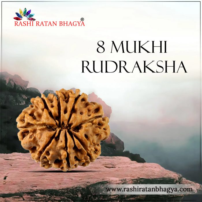 8 Mukhi Rudraksha Online Best price in India.