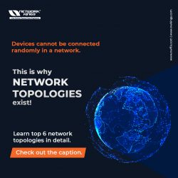 What is Network Topology and its types? Explained