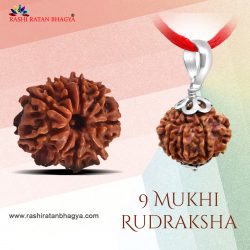 Buy Rudralsha Solver Pendent form Rashi Ratan Bhagya