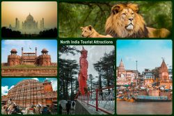 North India Tour Packages