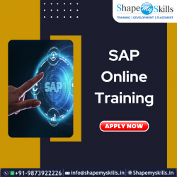 Overview of SAP Training in Noida | ShapeMySkills