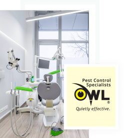 Pest Control Service in Clinics