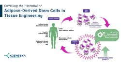 Other Tissue Engineering Applications