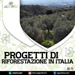 progetti di riforestazione in italia