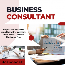 Experience Business Consultant In USA