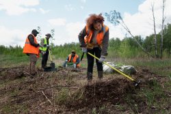 Get The Best Emergency Tree Removal Services in Bondi