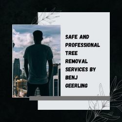 Safe and Professional Tree Removal Services by Benj Geerling