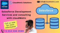 Salesforce Development