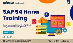 What Is SAP S4 HANA Public Cloud?