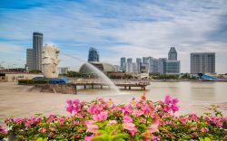 Apply for a Singapore e-Visa