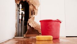 Comprehensive Water Damage Repair Solutions in Grand Island