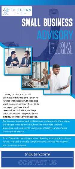 Boost Your Small Business Success with Expert Advisory Services – Tributan