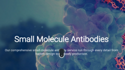 Small molecule antibodies