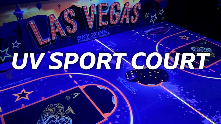 Soar to New Heights on Your Special Day: Rent a Trampoline for a Birthday Party at Sky Zone Las ...