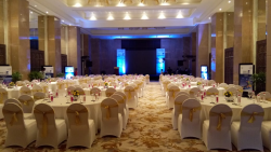 Taj Aravali Resort & Spa Udaipur Wedding – Fiestro