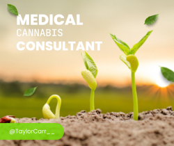 Taylor Carr | Professional Medical Cannabis Consultant