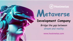 Metaverse Development Company