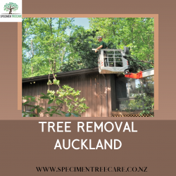 Tree Removal Streamlining for a Clear Landscape