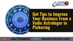 Get Tips to Improve Your Business From a Vedic Astrologer in Pickering