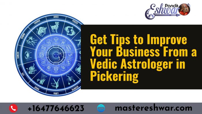 Get Tips to Improve Your Business From a Vedic Astrologer in Pickering