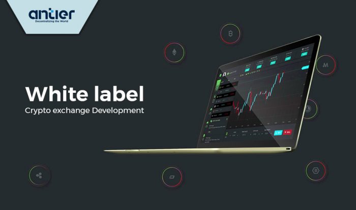 Revolutionizing Entrepreneurship: How White Label Crypto Exchange Software is a Shot in the Arm ...