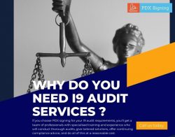 Why do you Need I9 Audit services