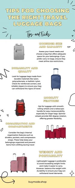 Tips For Choosing The Right Travel Luggage Bags