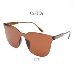 Fashion One Piece Sunglasses