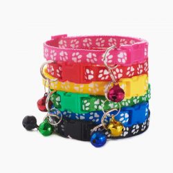 Colorful pet collar