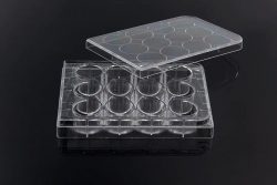 Cell Culture Plate