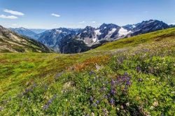 Located in Darby, Montana on Triple Creek Ranch?