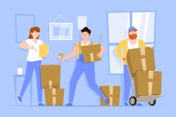 Professional Removalists in Zetland | Atlantis Removal