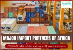 How much does Africa import?