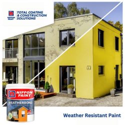 Weather Resistant Paint: Protect Your Home From The Climate