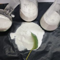 Hydroxypropyl MethylCellulose (HPMC)