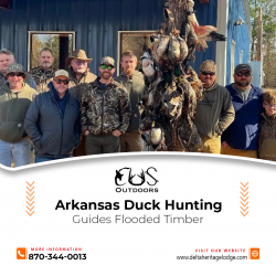 Arkansas Duck Hunting Guides Flooded Timber