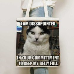 Disappointed Meme Totebags