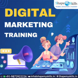 Best Certification in Digital Marketing Online Training at ShapeMySkills