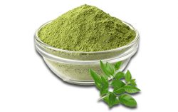 Henna Powder Manufacturer in India | Sanayindustries.com